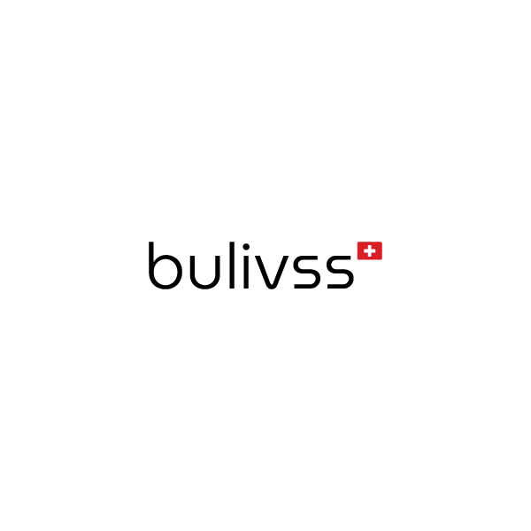 Bulivss Logo